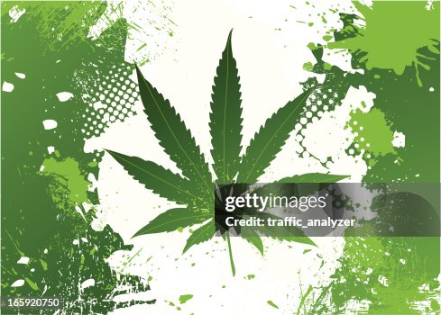 Marijuana leaf Marijuana leaf