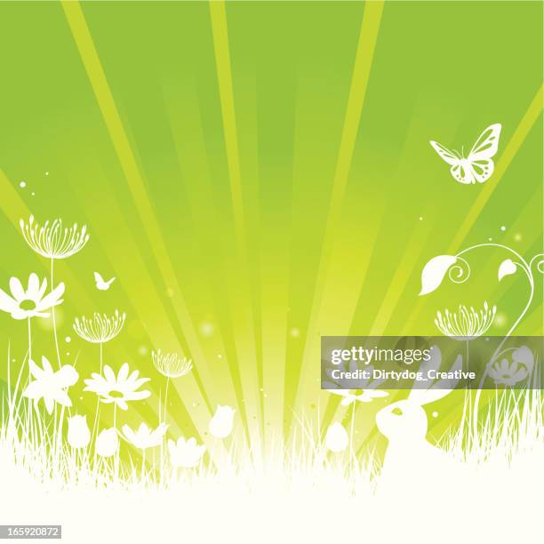 spring summer concept on green with rabbit, flowers & butterfly - rabbit-sunrise stock illustrations