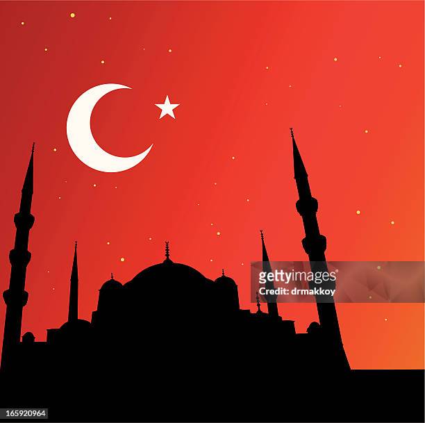 bildbanksillustrationer, clip art samt tecknat material och ikoner med istanbul and mosques - sund