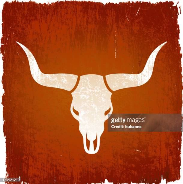 texas longhorn bull on royalty free vector background - texas longhorn cattle 幅插畫檔、美工圖案、卡通及圖標