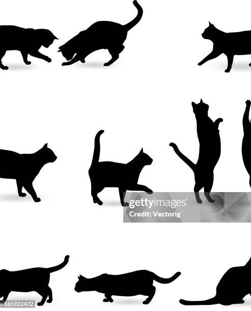 katze silhouette - hauskatze stock-grafiken, -clipart, -cartoons und -symbole