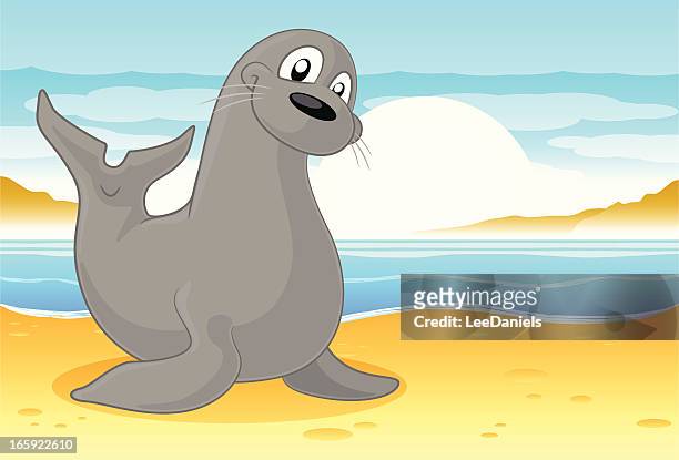 121 Sea Lion Cartoon Photos and Premium High Res Pictures - Getty Images