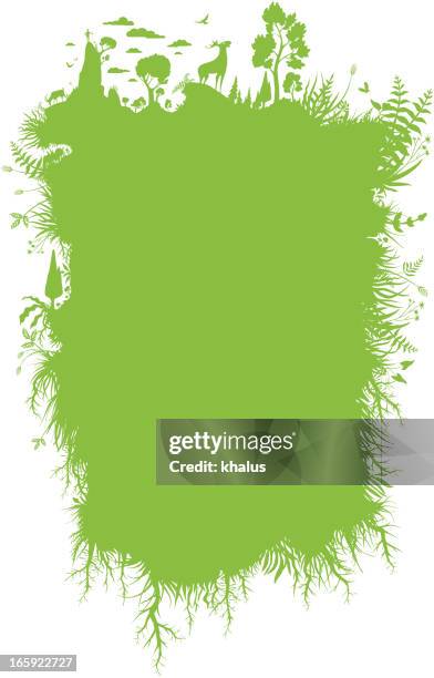 648 Bird Flying Frame By Frame Stock Photos, High-Res Pictures, and ...