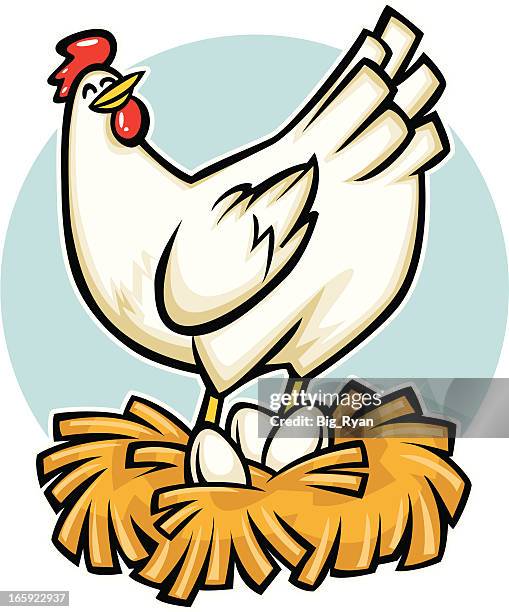 cartoon hen - cartoon chickens stock illustrations