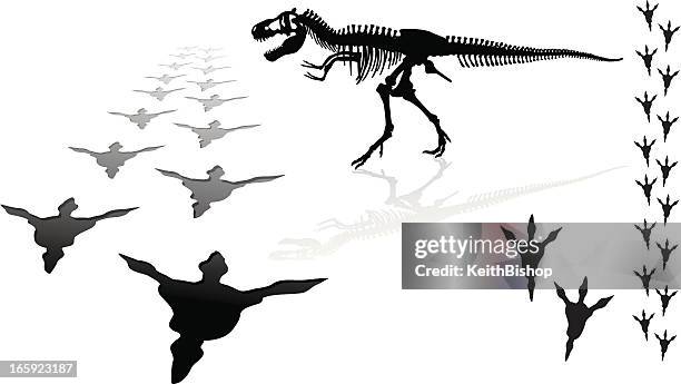 ilustrações, clipart, desenhos animados e ícones de dinosaur-tiranossauro rex - osso animal