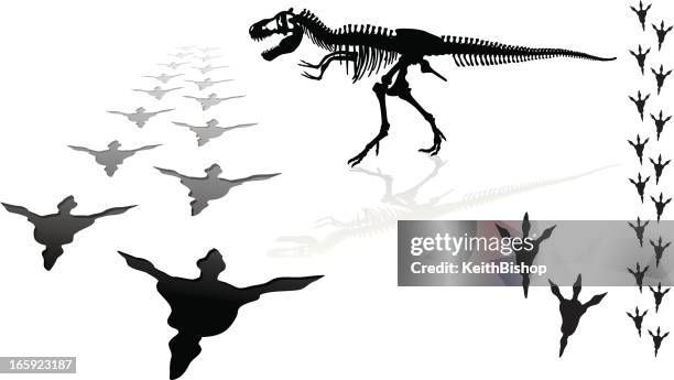 dinosaur - tyrannosaurus rex - dinosaur tracks stock illustrations