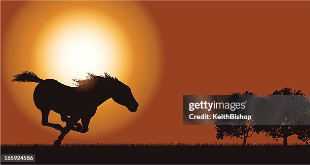 ilustrações, clipart, desenhos animados e ícones de wild horse fundo-cavalo ou corrida - mustang wild horse