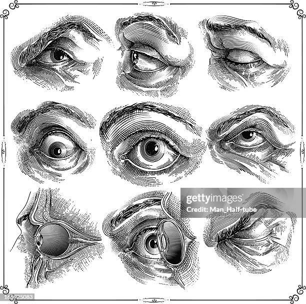 menschliches augen - träne stock-grafiken, -clipart, -cartoons und -symbole