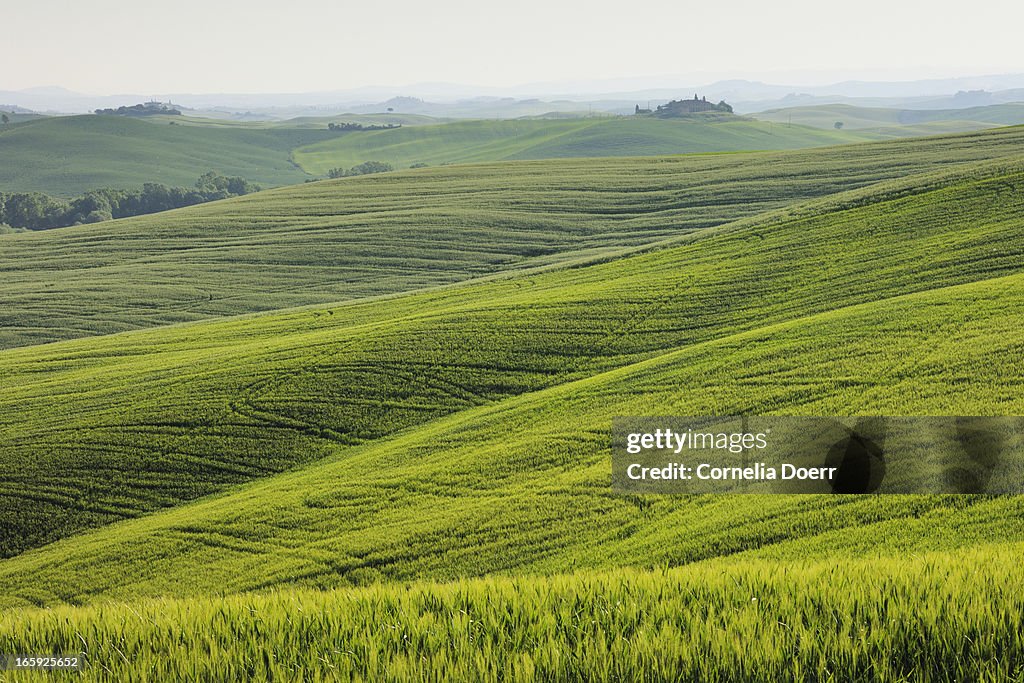 Hilly countryside and farmhouse in Tuscany