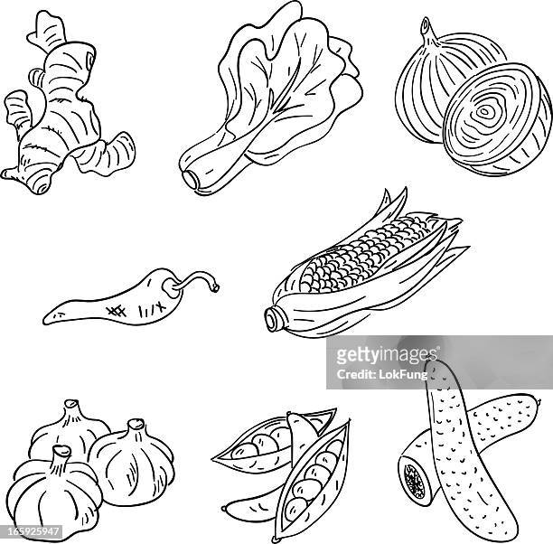 ilustraciones, imágenes clip art, dibujos animados e iconos de stock de colección de verduras en blanco y negro - ginger