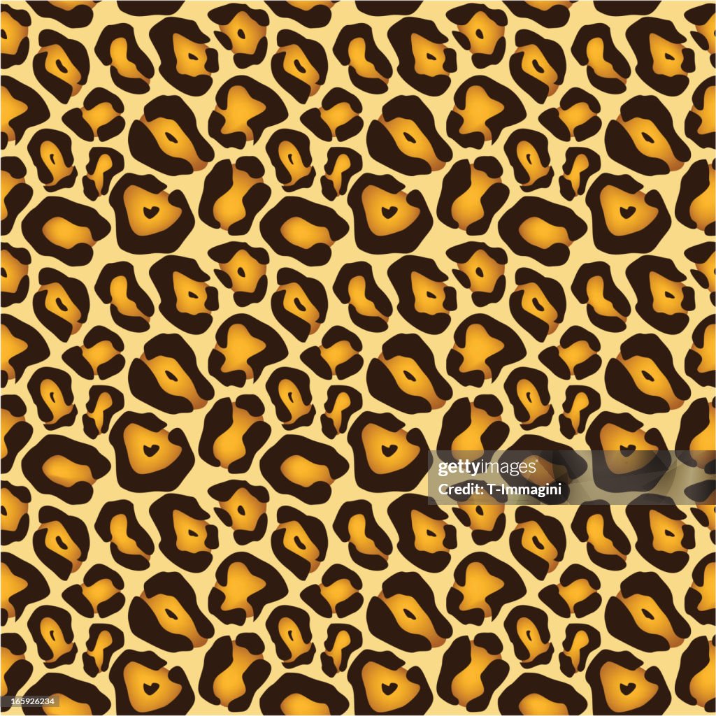 Leopard Pattern High-Res Vector Graphic - Getty Images