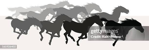 bildbanksillustrationer, clip art samt tecknat material och ikoner med wild horses stampede - silhouette background - mustang wild horse