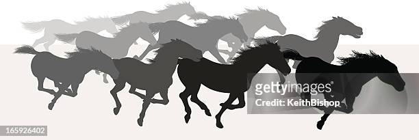 wild horses stampede - silhouette background - animals in the wild stock illustrations