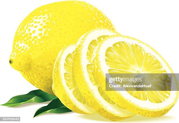 sliced lemon - serving size stock illustrations