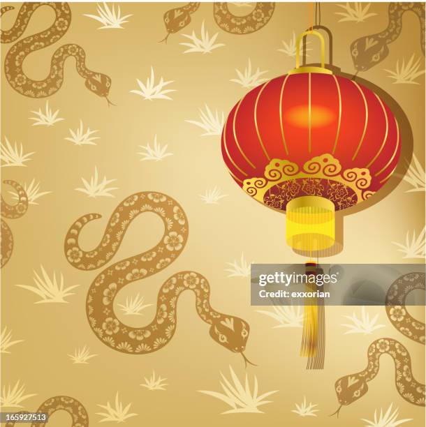 lantern on snake background - paper lantern texture stock illustrations