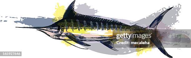 blue marlin - marlins stock illustrations