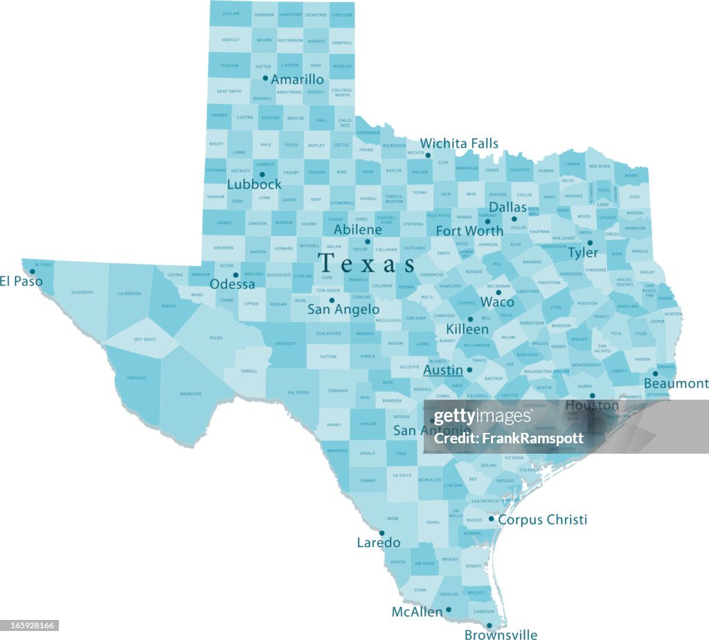 Texas mappa vettoriale regioni isolato