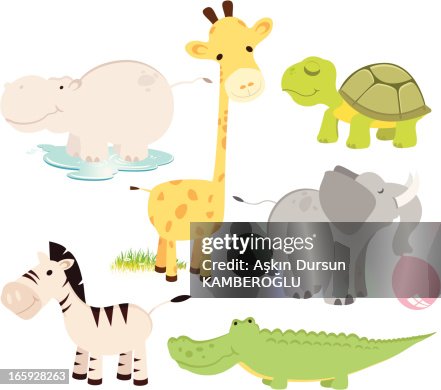 Animals Animals