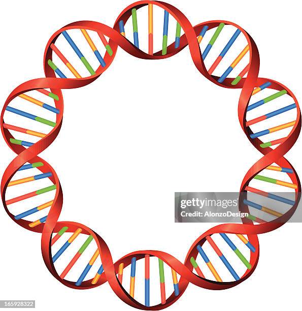 dna - helixmodell stock-grafiken, -clipart, -cartoons und -symbole