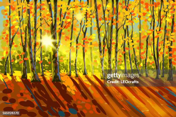 wunderschöne herbstliche landschaft - baum sonne stock-grafiken, -clipart, -cartoons und -symbole