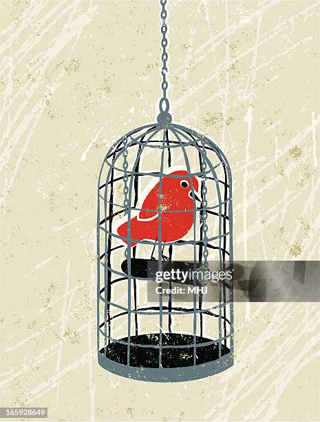 bird trapped in a birdcage - 籠 幅插畫檔、美工圖案、卡通及圖標