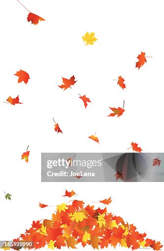 Falling Leaves Falling Leaves