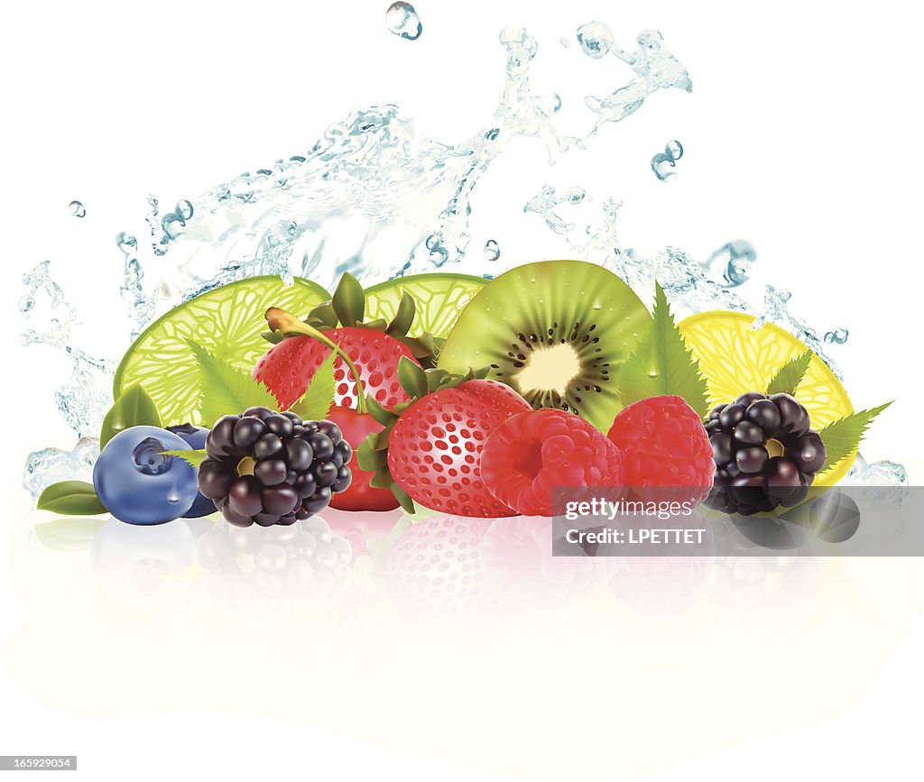 Fruit Splash - Vector Illustration