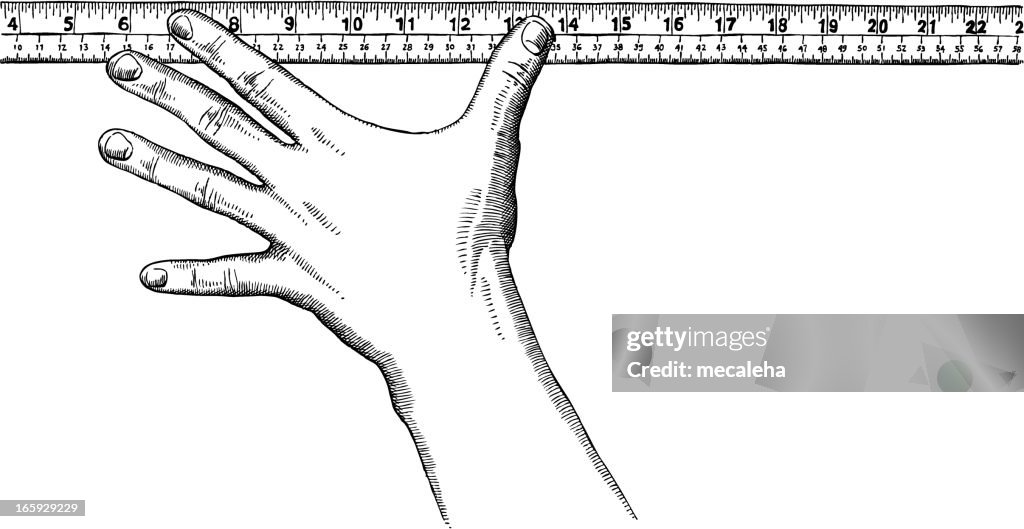Hand Holding A Ruler High-Res Vector Graphic - Getty Images