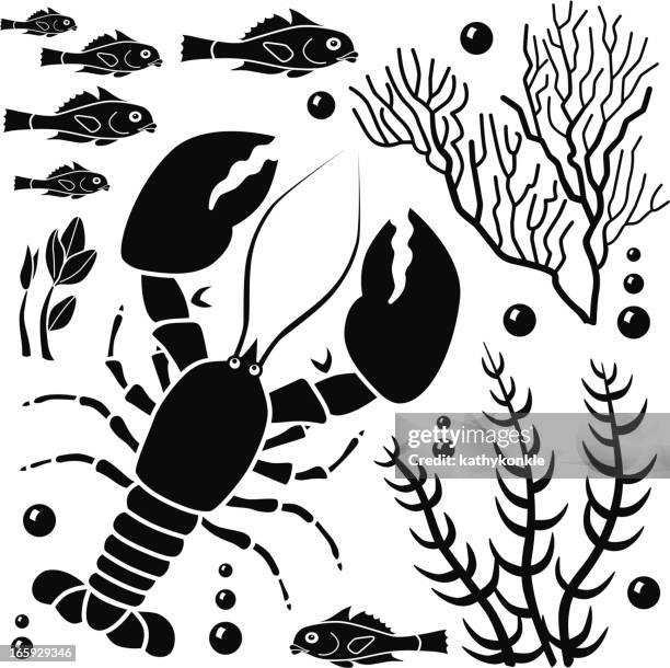 sea life design elements - shells isolated stock illustrations