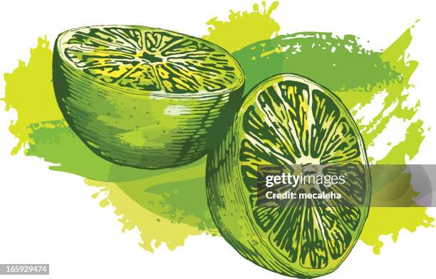 ilustrações de stock, clip art, desenhos animados e ícones de verde-lima - lime