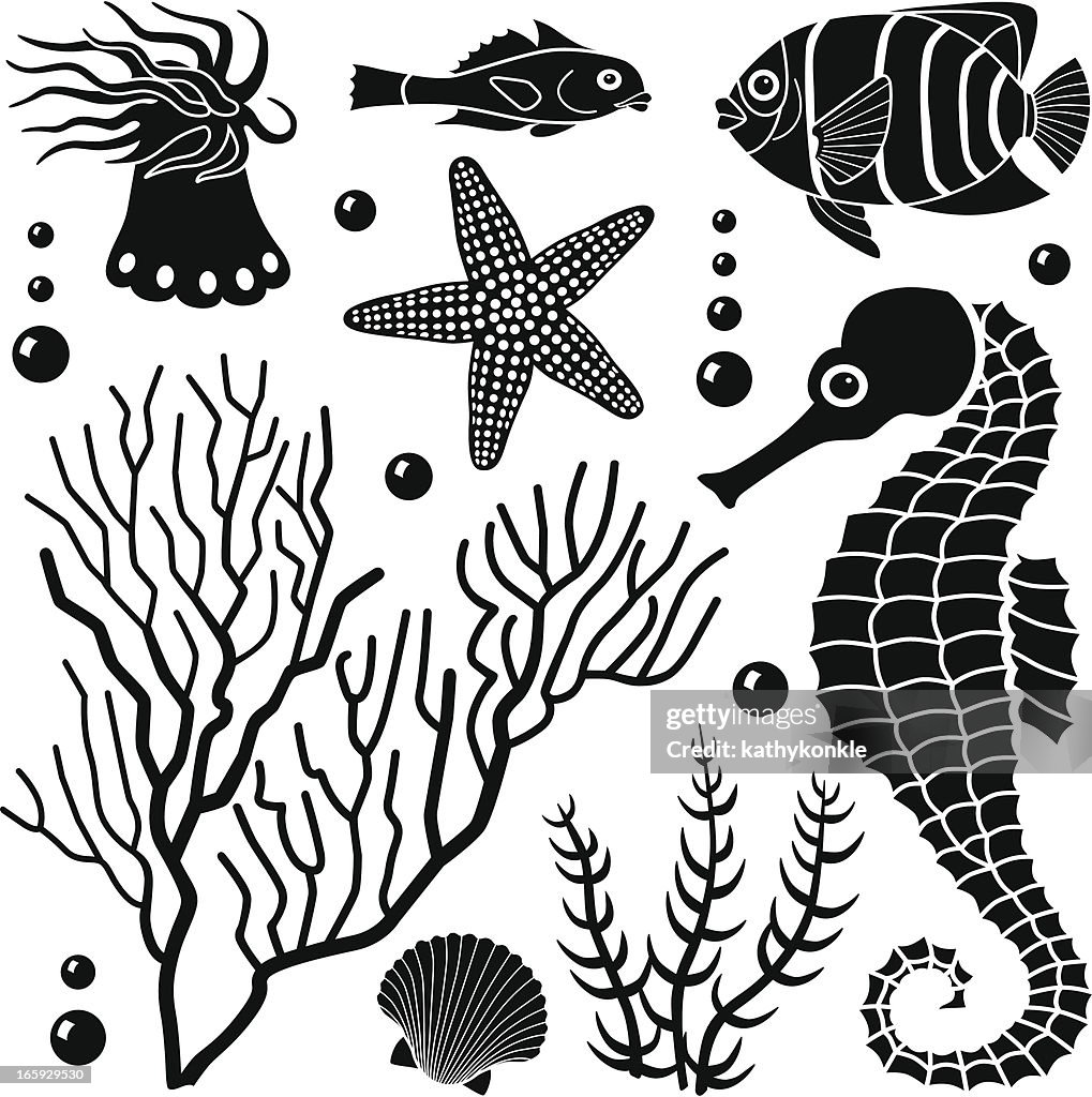 Sea Creatures Layout Sea Creatures Design Elements High-Res Vector Graphic - Getty Images