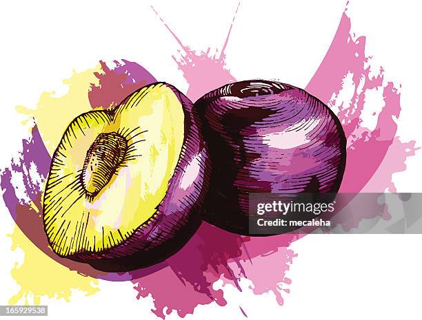 plums - plum stock illustrations