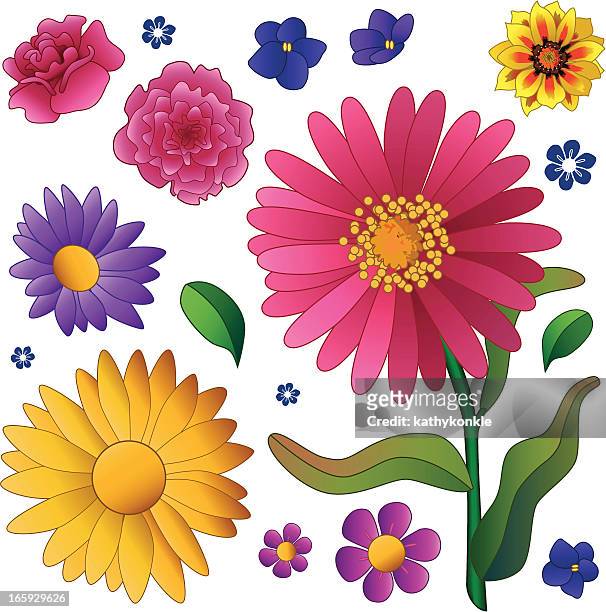 482 Cartoon Daisy Flower High Res Illustrations - Getty Images