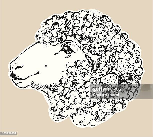 262点の羊 顔イラスト素材 Getty Images 262点の羊 顔イラスト素材 Getty Images