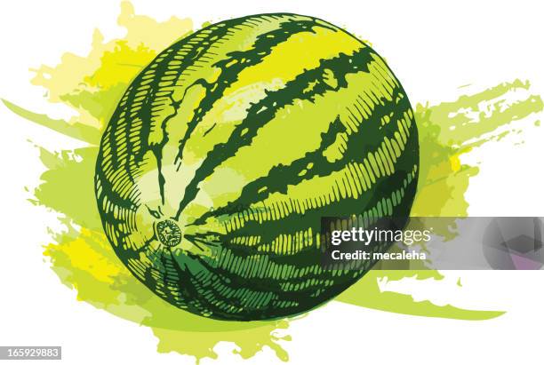 Watermelon Splat 20 Watermelon Splat Stock Photos, High-Res Pictures, and Images - Getty ...