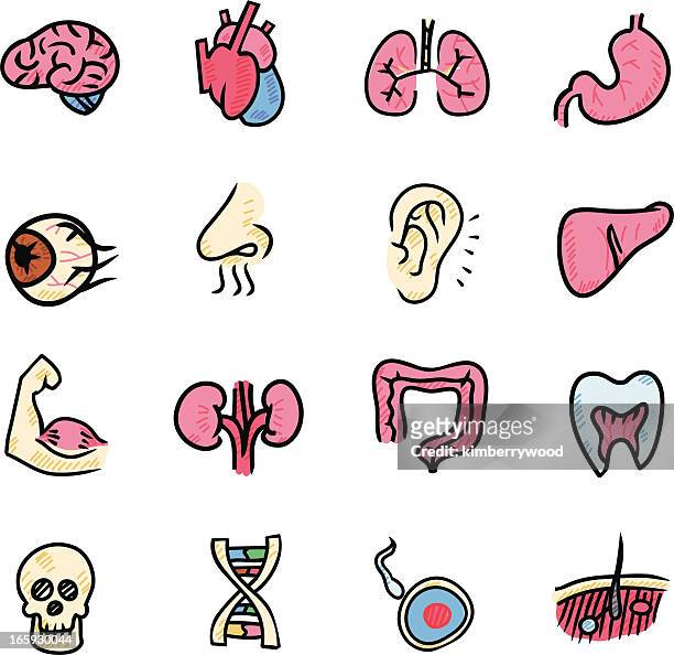 stockillustraties, clipart, cartoons en iconen met organ icon - menselijk oor