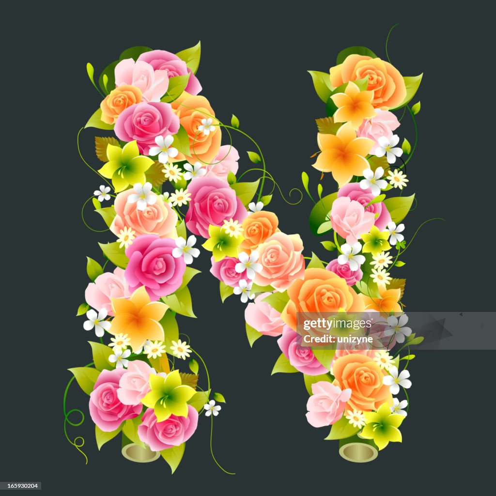 Capital Letter N