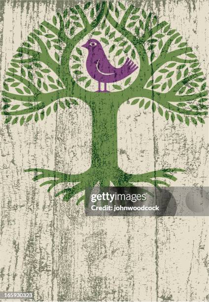 peeling paint bird tree - exfoliating texture stock illustrations