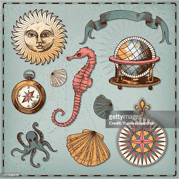 ilustrações de stock, clip art, desenhos animados e ícones de conjunto náutico decorativa - concha do mar