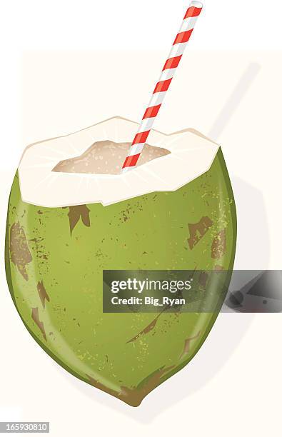 illustrazioni stock, clip art, cartoni animati e icone di tendenza di acqua di cocco - drinking straw