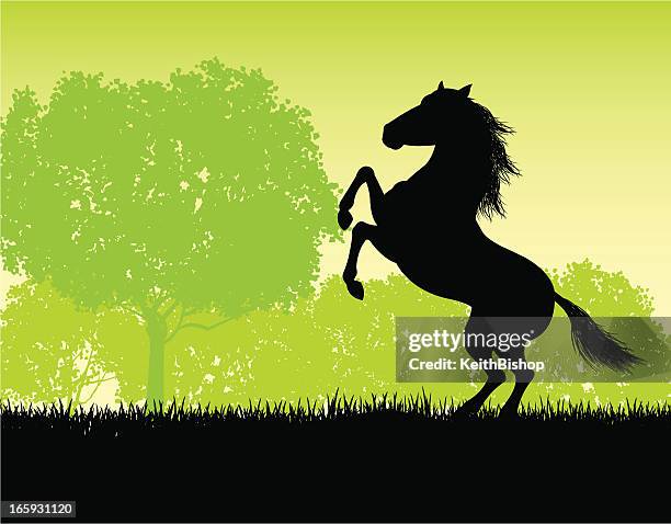 rearing stallion background - padock stock illustrations