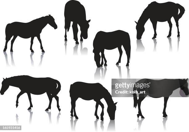 horse and pony silhouettes - 放牧地 幅插畫檔、美工圖案、卡通及圖標