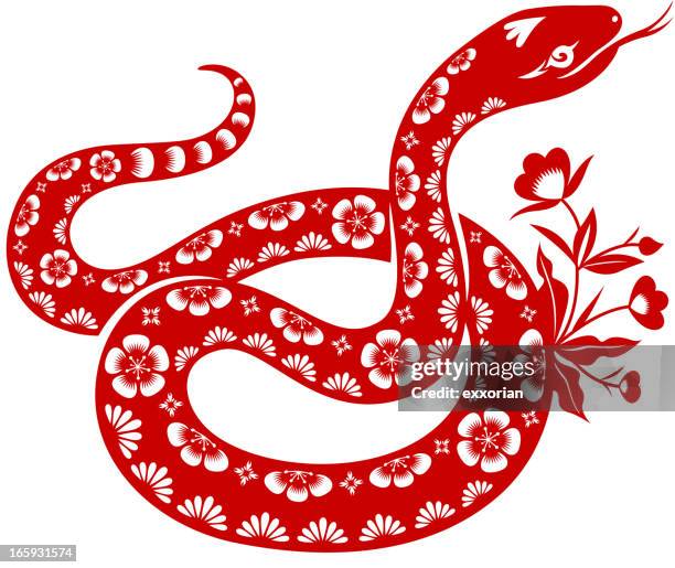 309 Ilustraciones de Serpiente China - Getty Images 309 Ilustraciones de Serpiente China - Getty Images