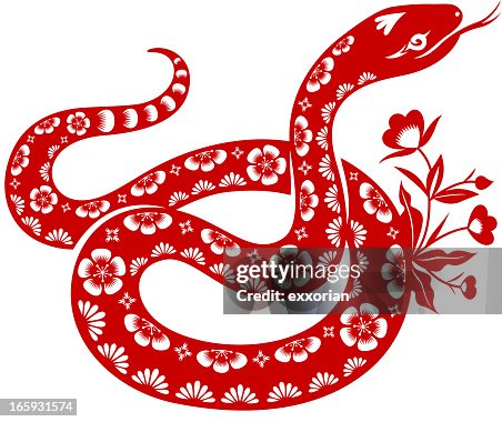 Year of the Snake Year of the Snake