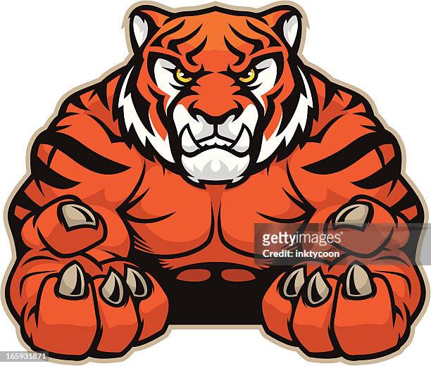 illustrations, cliparts, dessins animés et icônes de tigre mascotte accroche - muscle d'un animal