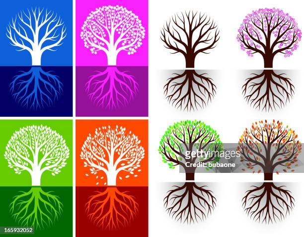 stockillustraties, clipart, cartoons en iconen met growing tree seasonal royalty free vector icon set with colors - kale boom