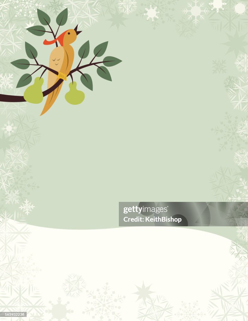 Partridge in a Pear Tree - Christmas Holiday Background