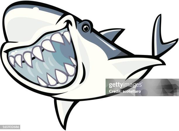 Sea Creatures Shark High-Res Vector Graphic