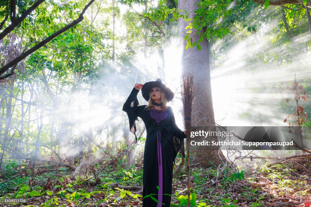 Magical Halloween Adventure: Enchantress in Witch Costume Roaming Forest