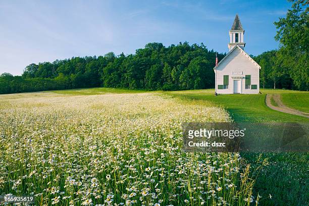 field of daisy wildflowers and old country church - chapel bildbanksfoton och bilder